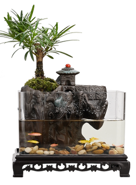 鱼缸流水摆件兰姿维植物造景