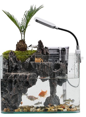 流水版鱼缸造景全套生态小型客厅桌面装饰摆件水草缸真植物水陆缸