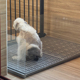 大狗厕所金毛泰迪大狗训练大型犬冲水防踩屎垫板尿盆拉屎猫砂垫