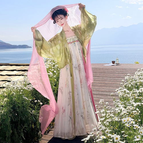 汉服女阑珊小记【青芜】唐制齐胸褶裙法门寺披衫吊带裙春夏日常