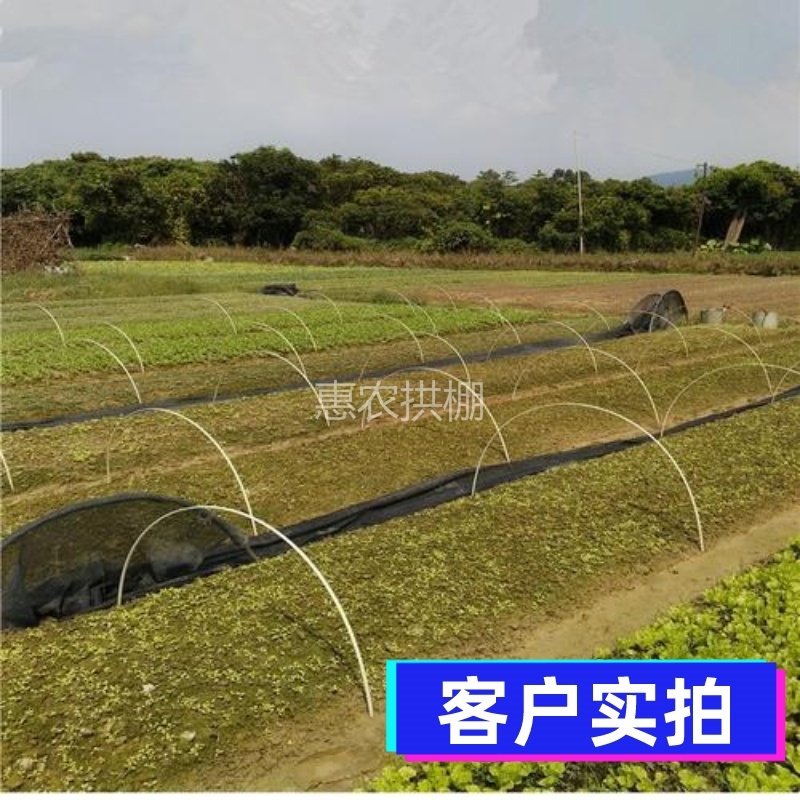 新品塑料养殖O骨l架小拱棚玻璃纤维弹力棒支架花卉家用小棚杆定制