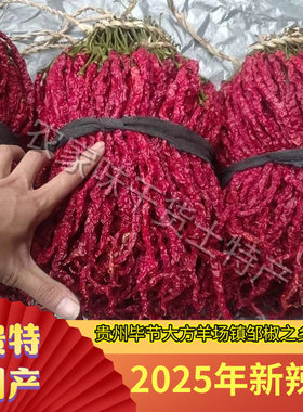 贵州毕节大方本地皱椒二荆条