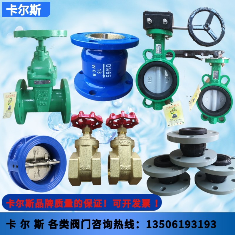 HC41X-16消声止回阀法兰不锈钢芯单向阀逆止阀立卧式DN 50 65 80