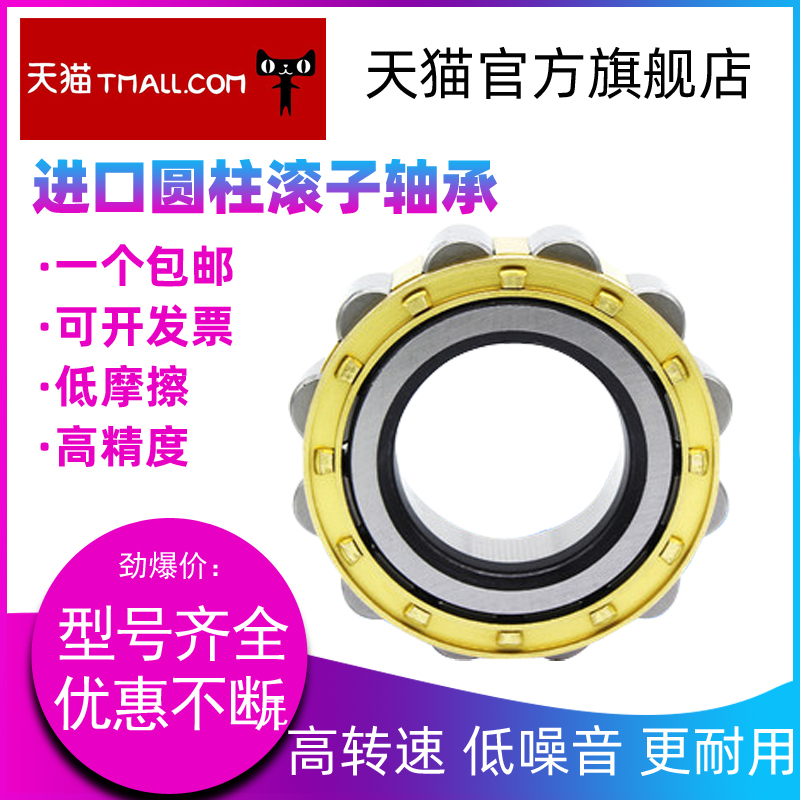 HBFP NJ304 305 306 307 308 309 310 EW EM C3 圆柱滚子轴承