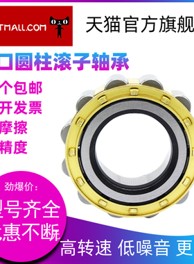 HBFP NJ304 305 306 307 308 309 310 EW EM C3 圆柱滚子轴承