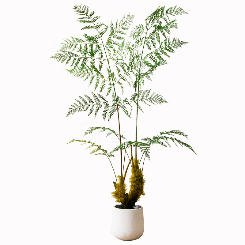 仿生绿植客厅仿真假树金丝猴阙猴头蕨类植物室内盆栽装饰造景摆件