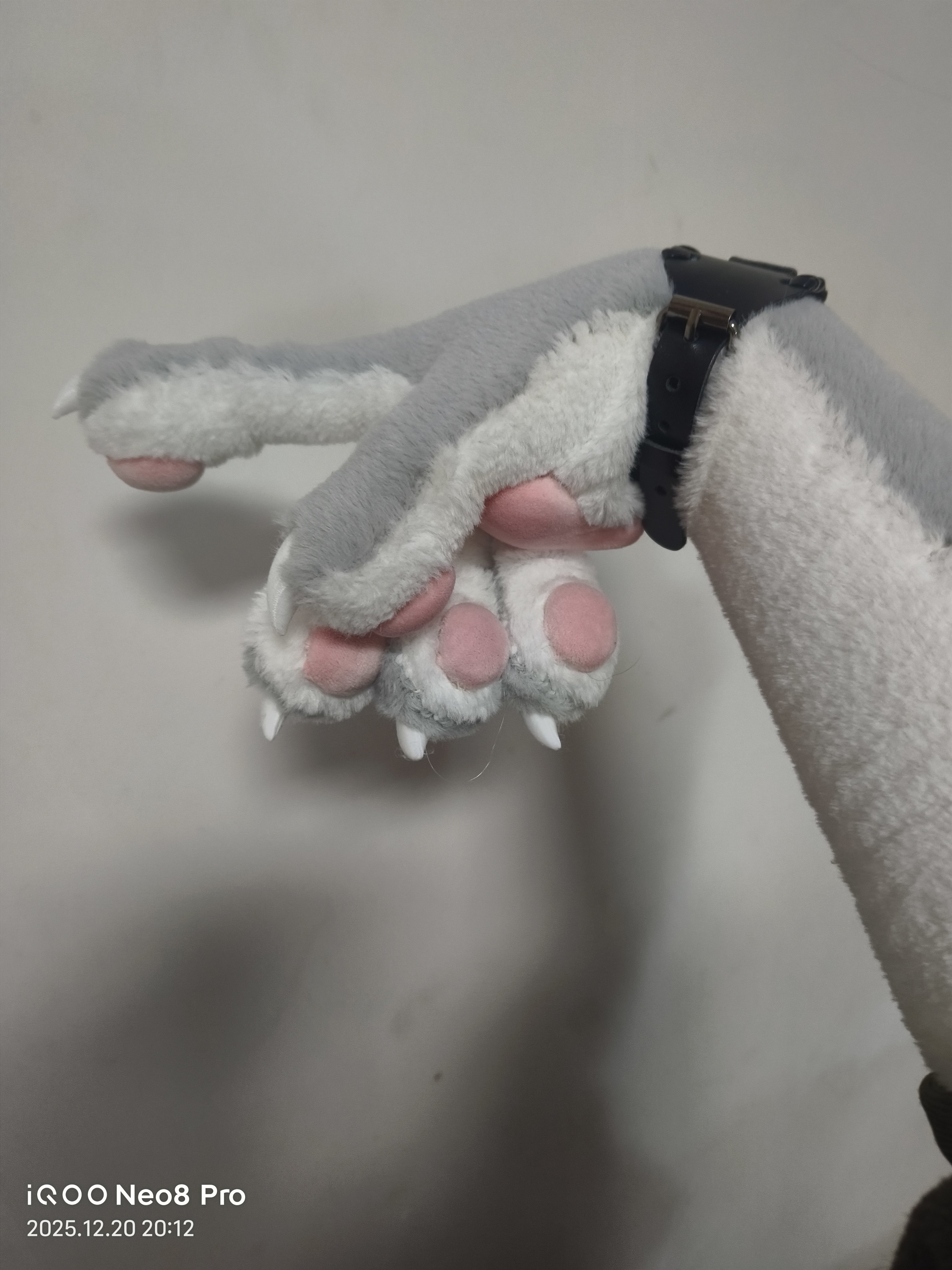 加购项定制兽爪专用无实际产品请不要单拍此商品看店铺主页,服饰配件/皮带/帽子/围巾,手套,淘宝优惠券,粉丝福利购,淘宝优惠卷