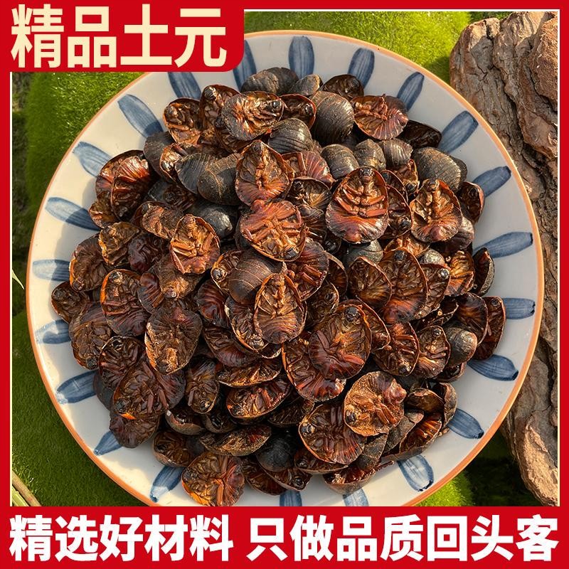 土元中华土元虫土元粉土元干土鳖虫接骨正品节节虫地鳖虫蟅虫虫