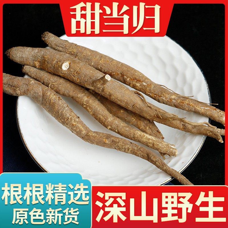 四川阿坝高原野生甜当归中药材 滋补不挑人口感好气味浓成都发货