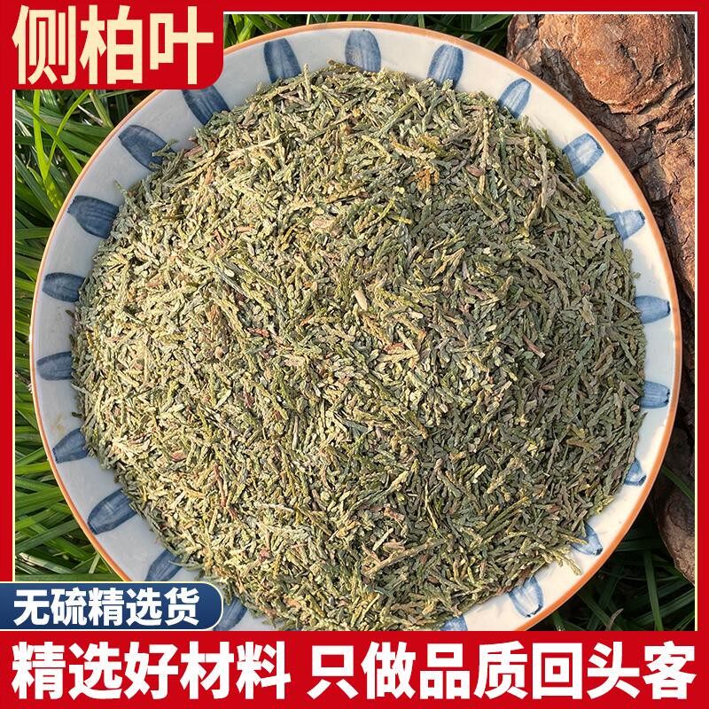 侧伯叶侧百叶测柏叶柏树叶丛柏叶香附子500g克侧柏叶浮萍