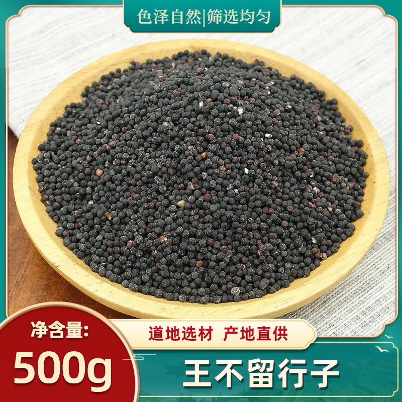 中药材王不留行子500g克正宗无硫王不留行籽 另有售炒留行子 通草