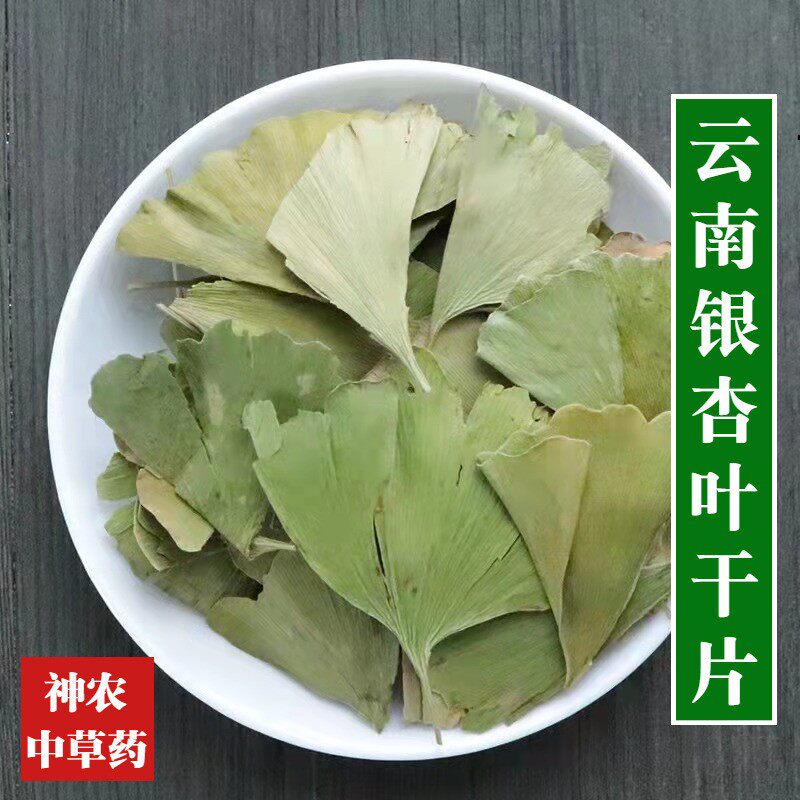 云南中药材银杏叶500g精选特级天然无硫新鲜干银杏叶片高品质泡水