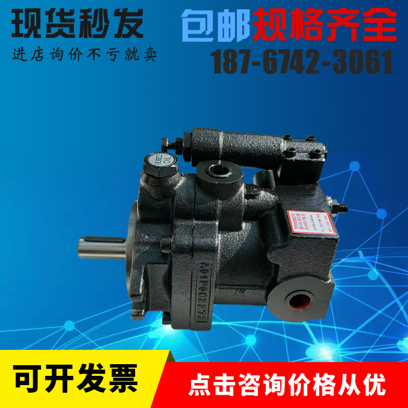 P08-A1-F-R-01 P08-A0-F-R-01 HHPC 台湾注塑机 柱塞泵