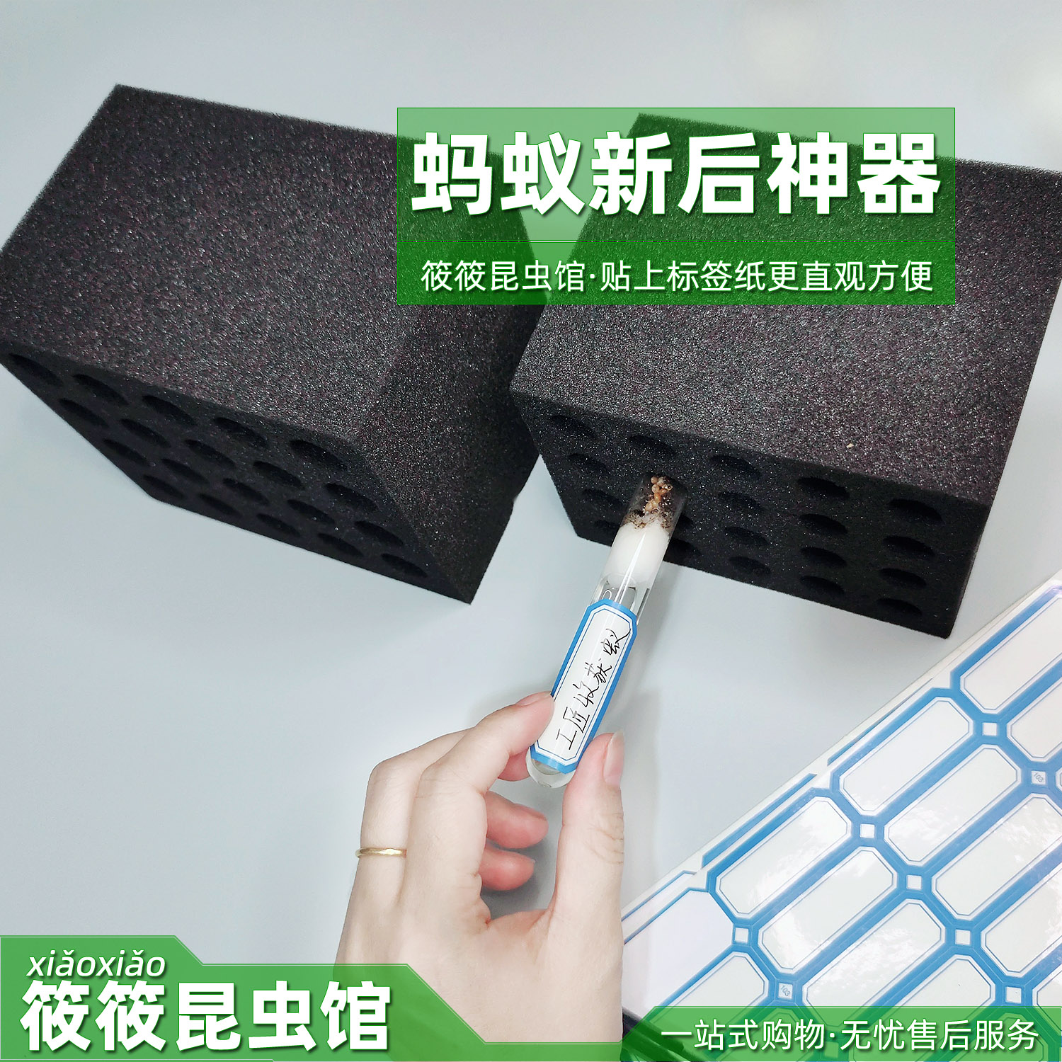 筱筱昆虫馆新后遮黑高密度海绵架