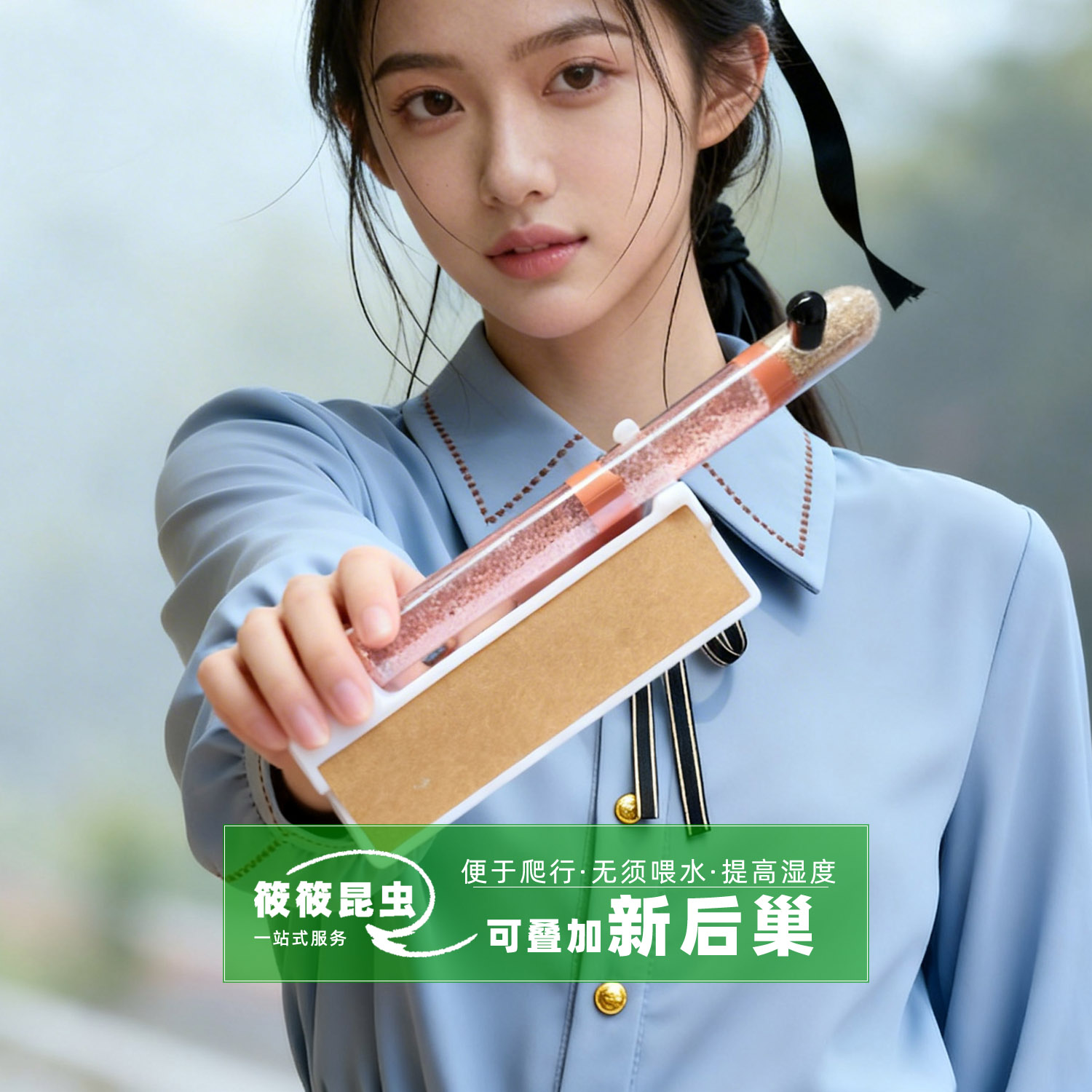 筱筱昆虫馆蚂蚁单试管新后小群巢图片