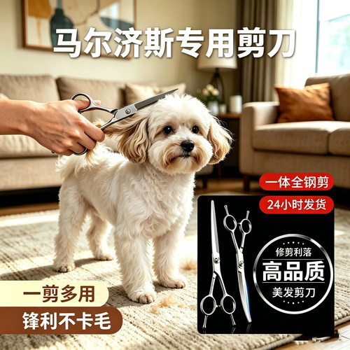 马尔济斯狗狗宠物剪毛专用剪刀狗修狗毛小狗美容工具打薄修剪神器