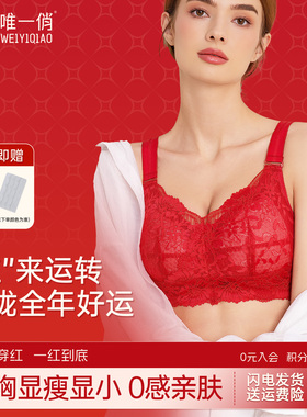 唯一俏韩少文大女儿内衣大杯乳罩聚拢胸大显小加宽肩带大码文胸