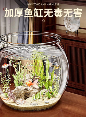 泥鳅专用缸透明塑料鱼缸水族箱微景观造景耐碰耐摔不破办公室观赏