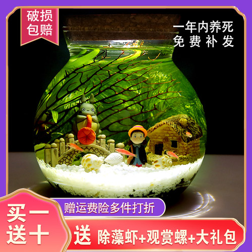 微景观科学生态瓶造景书桌客厅