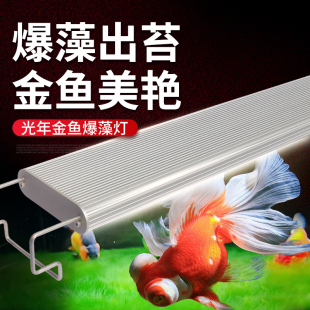 爆藻灯调光鱼缸灯防水全光谱LED灯金鱼专用灯水草灯青苔灯支架