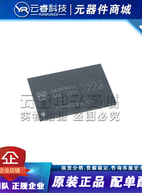 YMN09TC1B1JC6C BGA132 512GB NAND TMTC 长江存储芯片 全新原装