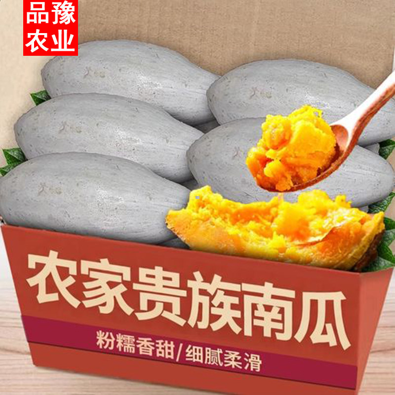 新疆贵族南瓜正宗沙漠银板栗老南瓜粉糯宝宝辅食9斤装非贝贝南瓜