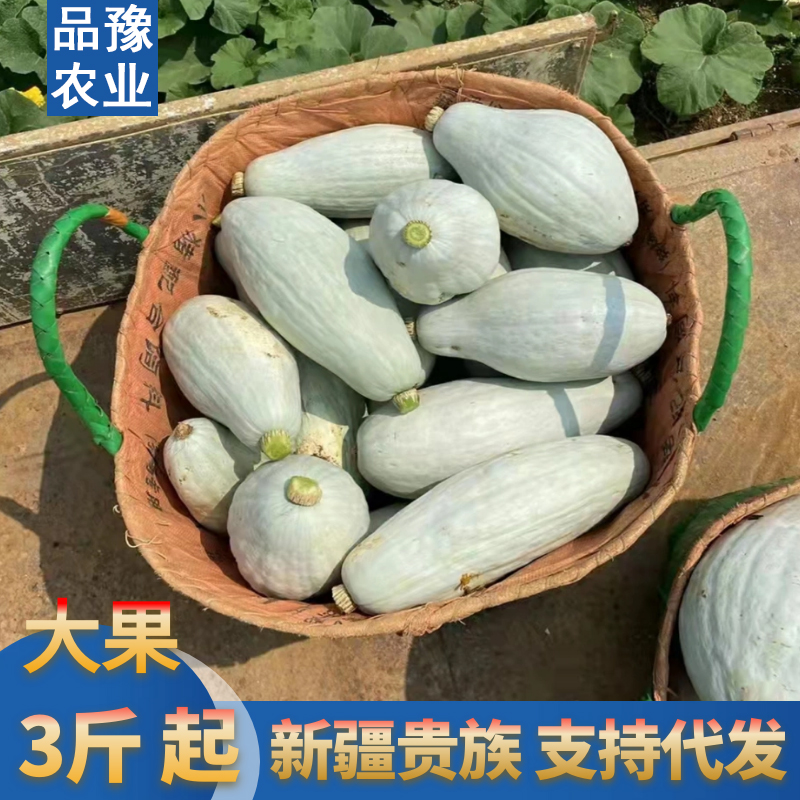 新疆贵族板栗南瓜粉糯香甜