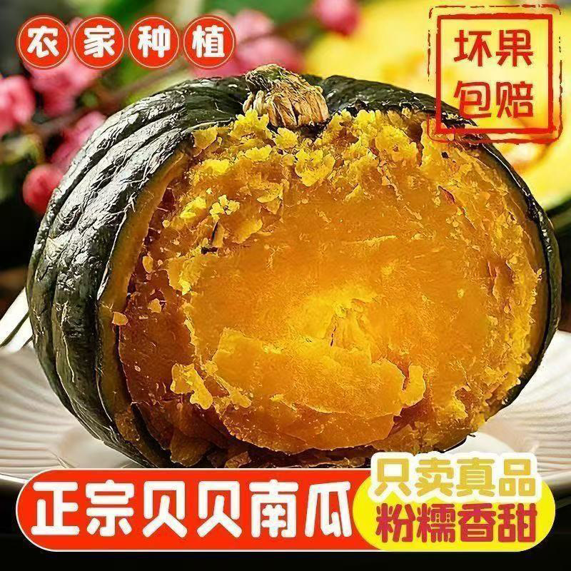 贝贝南瓜正宗板栗味粉糯
