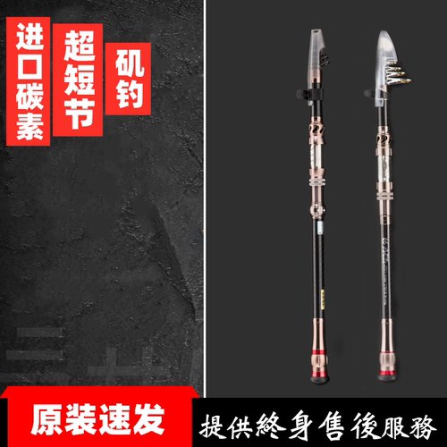 进口短节远投便携式手海两用鱼竿