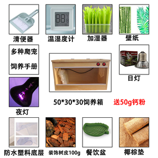 爬宠饲养箱木箱角蛙刺猬鸟蜥蜴陆龟保温箱多宫蜘蛛箱仓鼠箱可定做