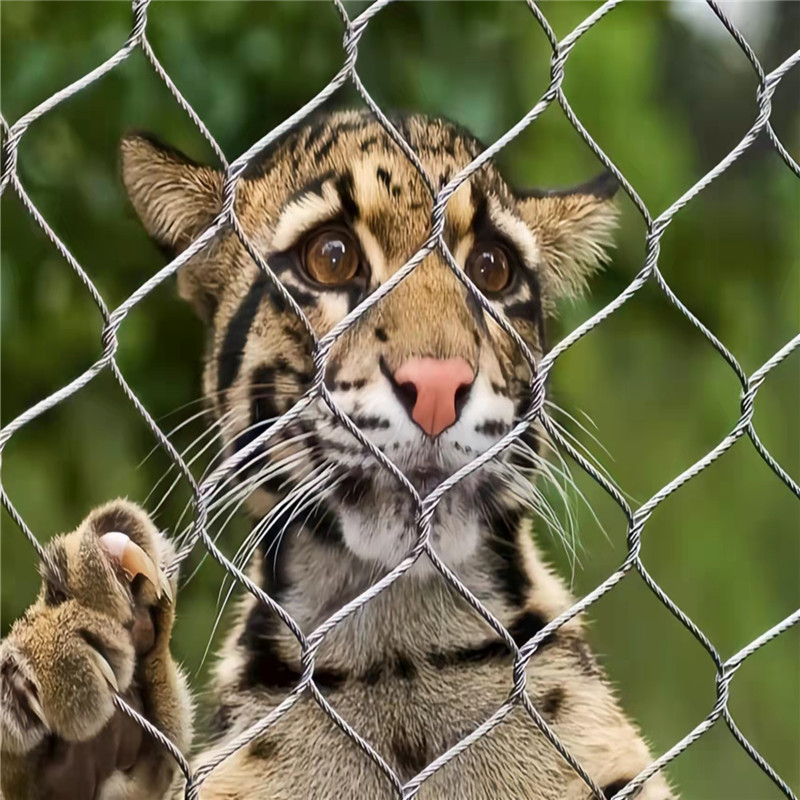 304不锈钢丝绳网植物爬藤网阳台动物园防护网高空防坠网质保30年