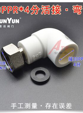 盾运4分20 6分25PPR水管管件配件家用自来水热熔暖气热水器活接头