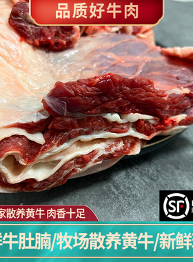 正宗农家散养新鲜3斤五花牛腩肉牛肚腩  崩沙腩 白腩牛腹肉牛腩块