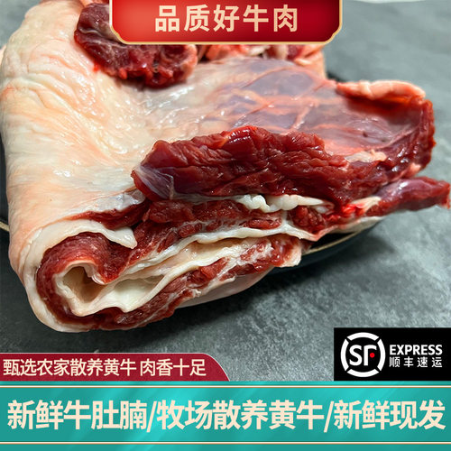 正宗农家散养新鲜3斤五花牛腩肉牛肚腩  崩沙腩 白腩牛腹肉牛腩块