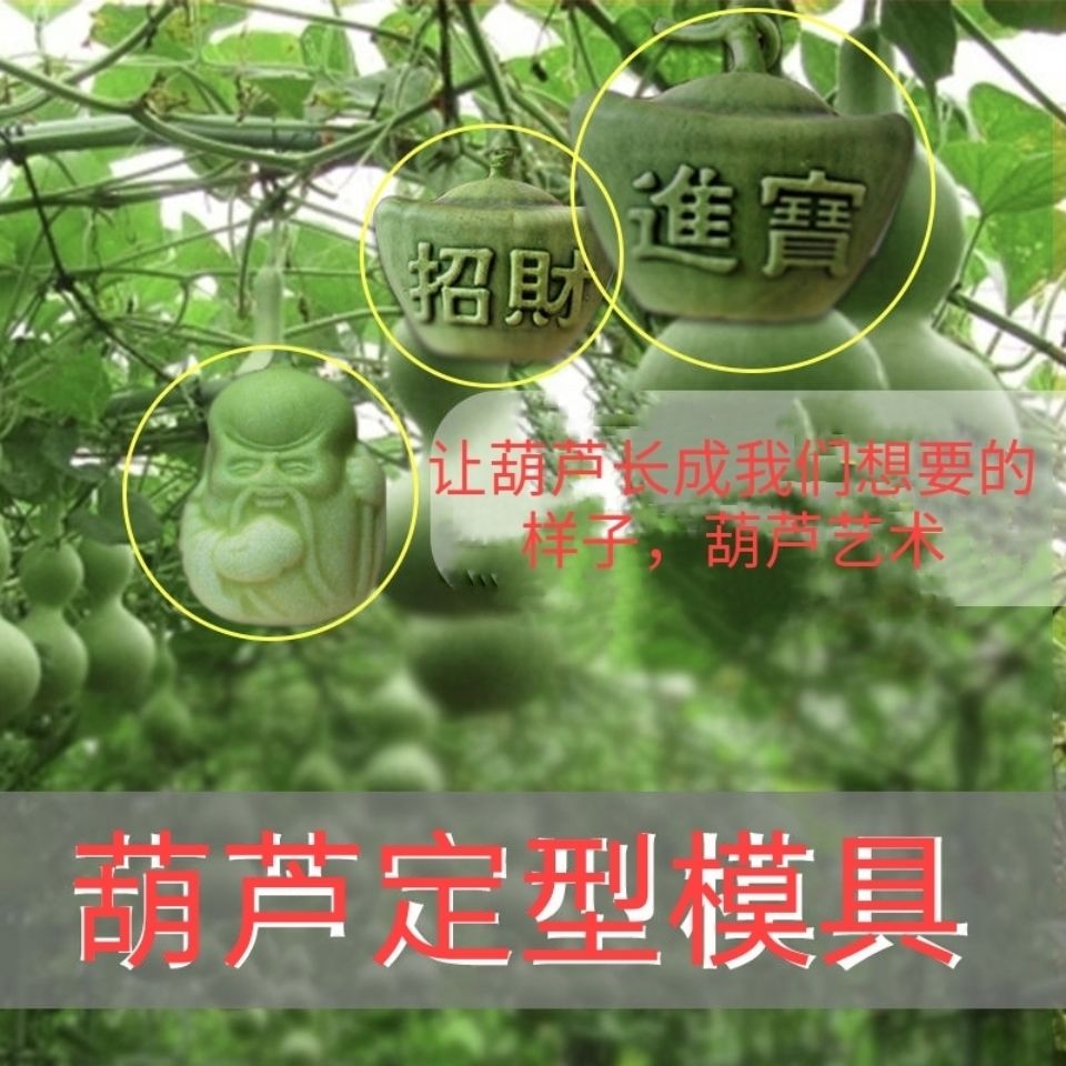 葫芦模具瓜果模具人参果葫芦定型塑料范制葫芦艺术