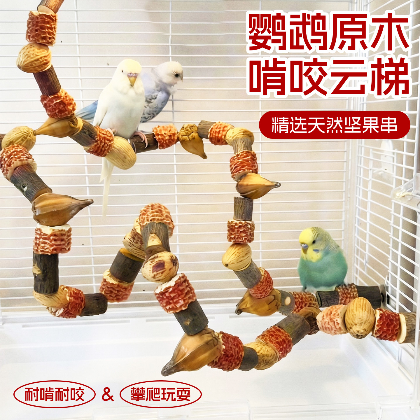 鹦鹉用品大全花椒木鸟笼站杆磨牙图片