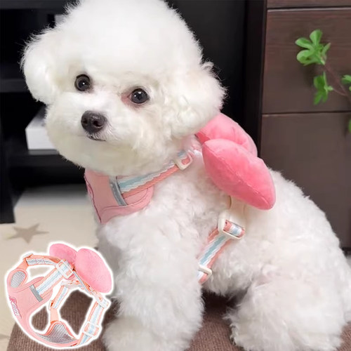 狗狗牵引绳狗胸背带可调节防挣脱背心式遛狗绳小型犬比熊宠物专用
