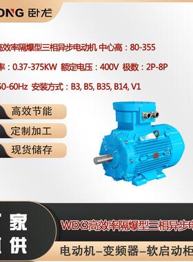 WEX3高效率隔爆型三相异步电动机CUTR认证矿用EAC防爆电机