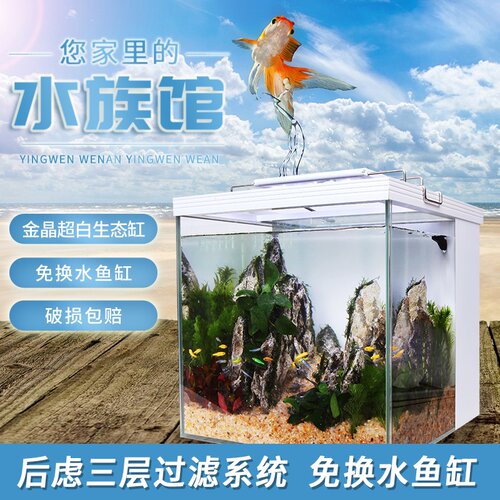 小型海水缸价格 小型海水缸图片 星期三 小型海水缸价格 小型海水缸图片 星期三