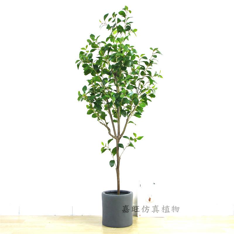 仿真植物盆栽盆景大型客厅ins风落地假树装饰豆瓣树仿真绿植盆栽