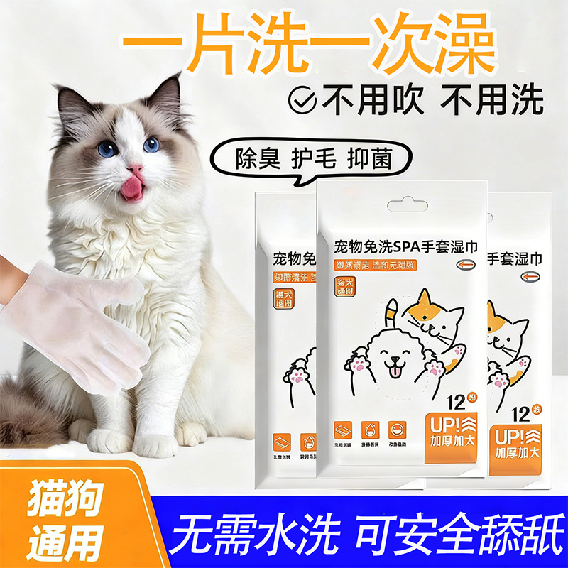宠物猫咪免洗手套猫湿巾专用