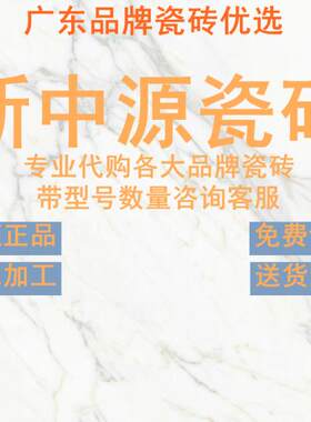 新中源瓷砖广东佛山800800柔光素
