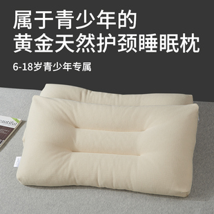 青少年专用护颈椎儿童枕头6岁以上四季通用学生宿舍8岁10荞麦枕芯