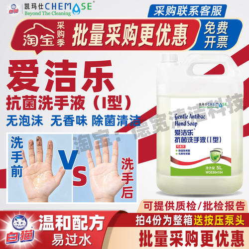 除菌易冲洗清洁抗菌洗手液凯玛仕