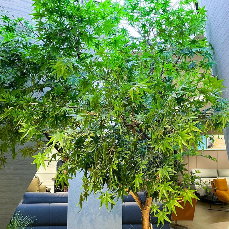 绿枫树庭院造景假树室内中式禅意山水庭院落地绿植景观树
