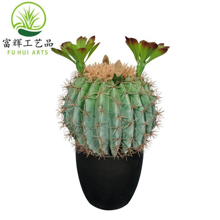 仿真仙人掌仙人棒仙人球花盆栽假花套装组合家居装饰道具摆件