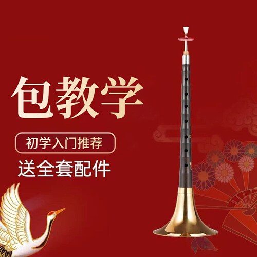 唢呐乐器初学者树脂高硬度防摔防潮防蛀仿红木乌木仿黑檀木初学者