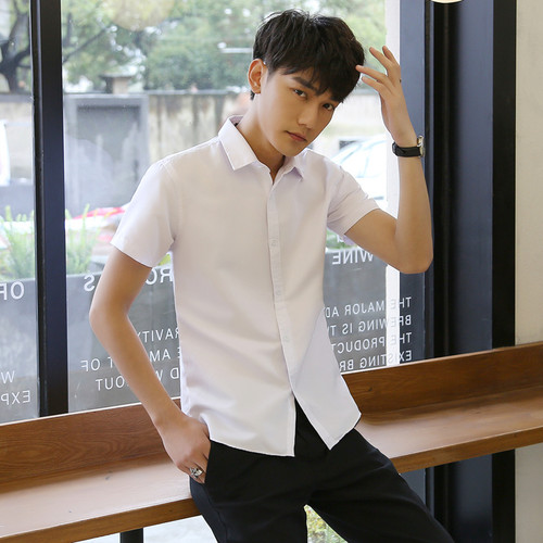 短袖衬衫休闲商旅素雅纯色