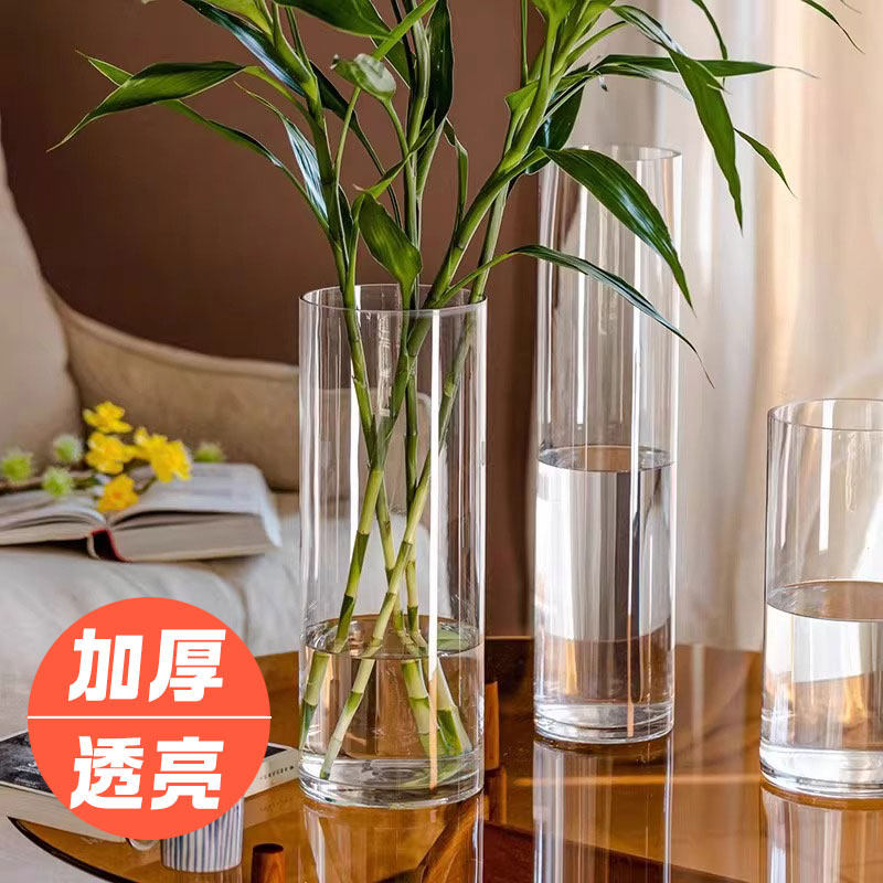 透明加厚直筒玻璃花瓶养鱼水培植物雪柳龙柳马醉木富贵竹专用水养