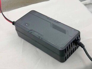 12V伏24亿佳能亿尔登赛迪佳品牌原厂锂充电器湖南亿尔能科技120A